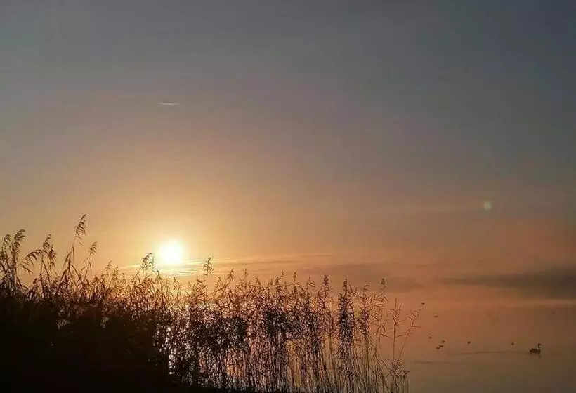Strandbungalow Reichenau