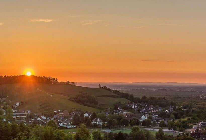 Ferienwohnung Panorama   Suite