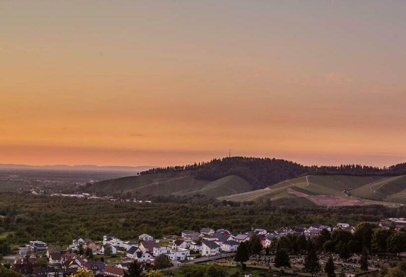 Ferienwohnung Panorama   Suite