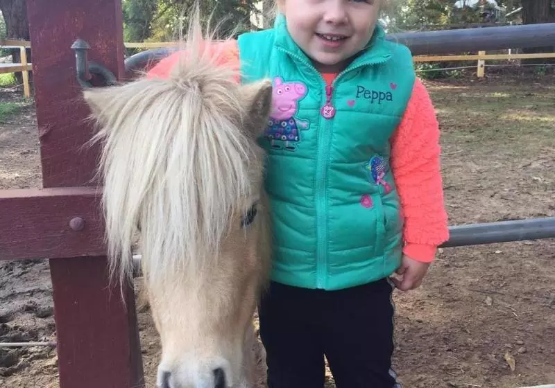 مبيت وإفطار Coranda Lodge