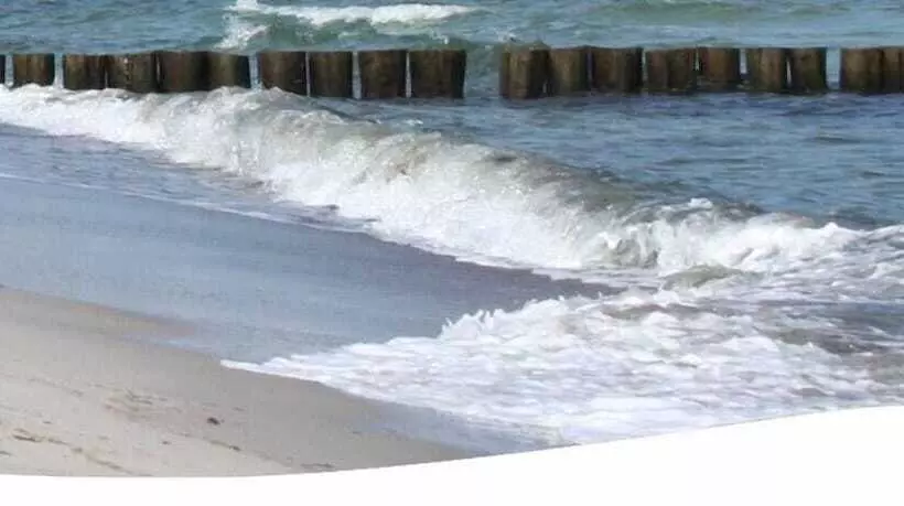 Bed and Breakfast Pension Amo Marem