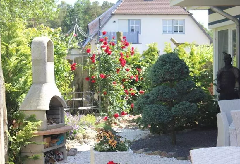 Bed and Breakfast Pension Amo Marem