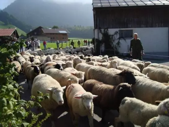 Ferienbauernhof Beer