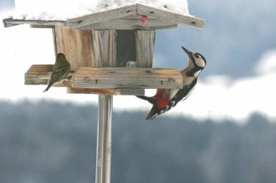 Ferienbauernhof Beer