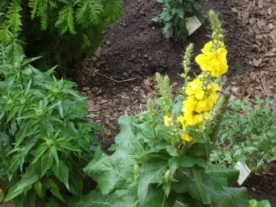 Ferienbauernhof Beer