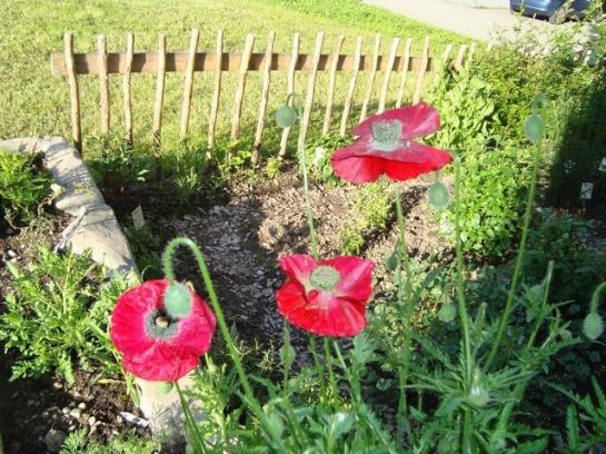 Ferienbauernhof Beer