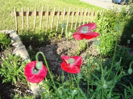 Ferienbauernhof Beer