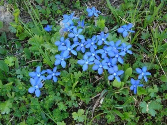 Ferienbauernhof Beer