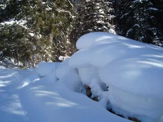 Ferienbauernhof Beer