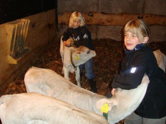 Ferienbauernhof Beer