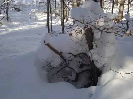 Ferienbauernhof Beer