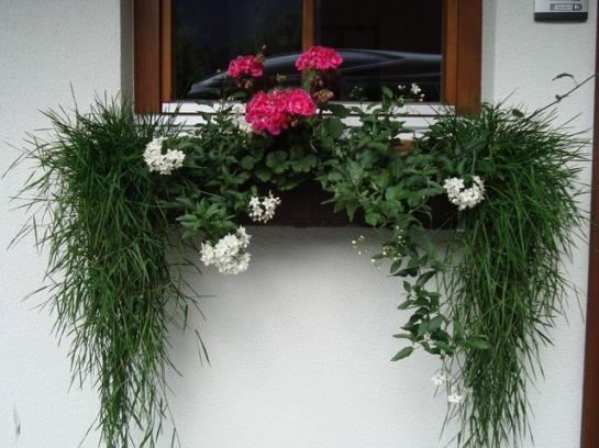 Ferienbauernhof Beer