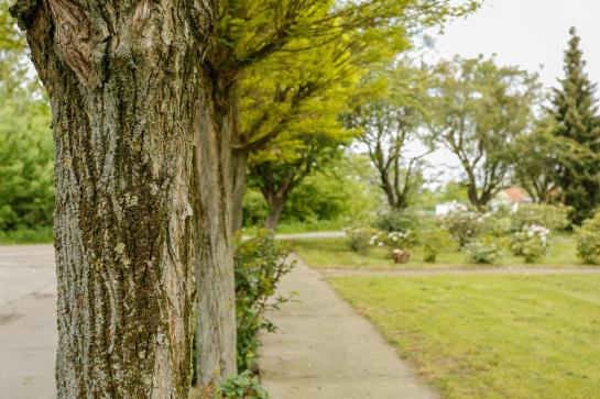 ホテル Borgwarthof