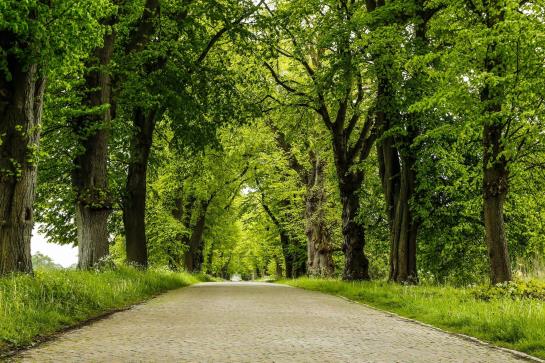 ホテル Borgwarthof