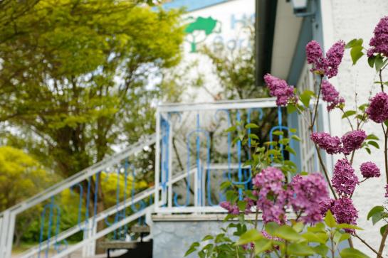 ホテル Borgwarthof