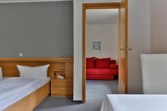 ホテル Borgwarthof