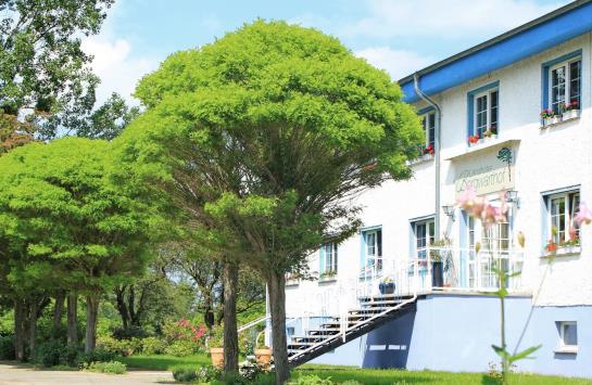 ホテル Borgwarthof