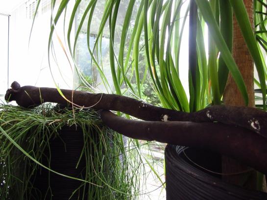 Garni Appartementhaus Rätikon