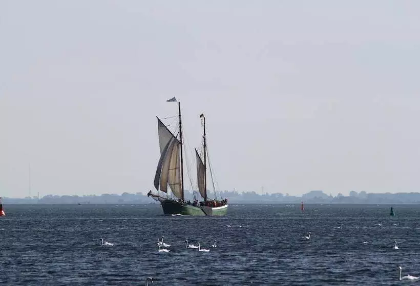 Отель Pension Garni Schwalbenhof