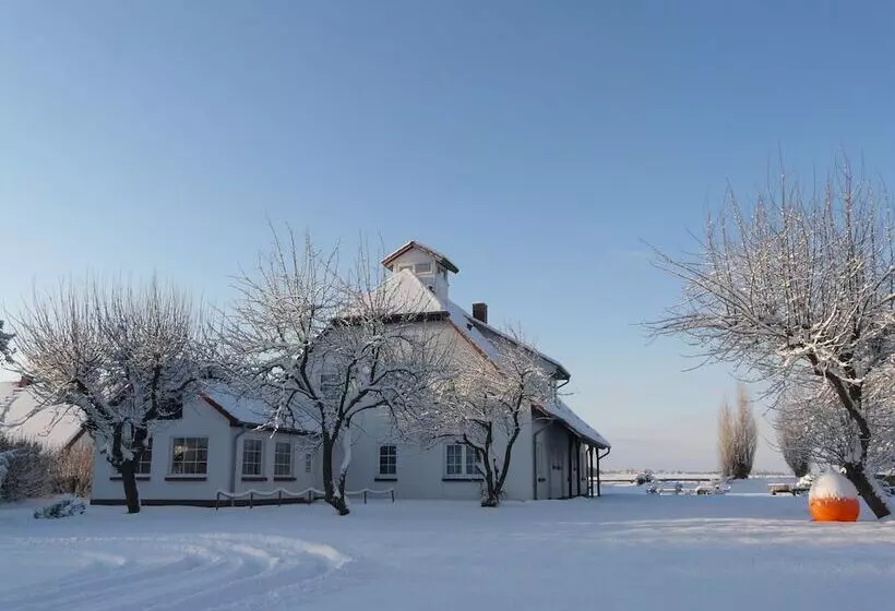 Отель Pension Garni Schwalbenhof
