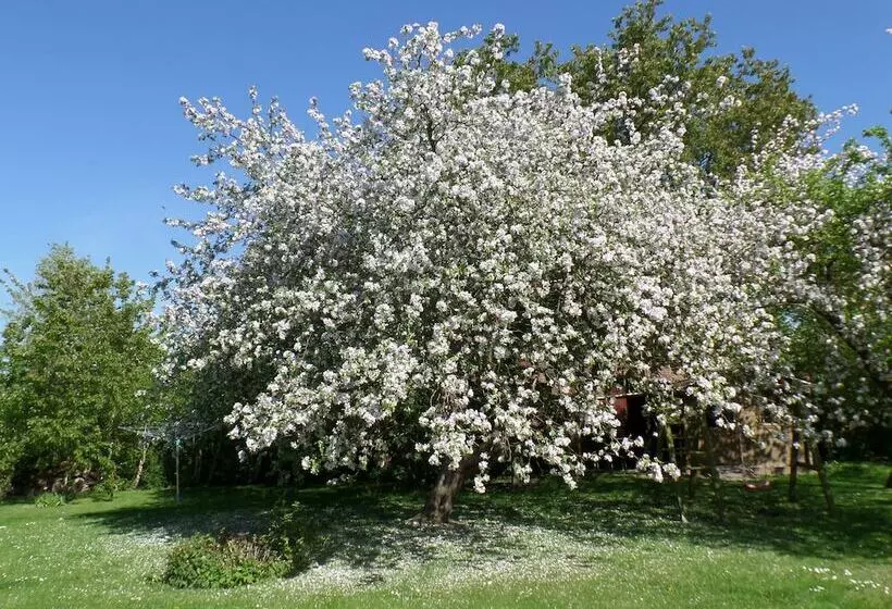 Отель Pension Garni Schwalbenhof