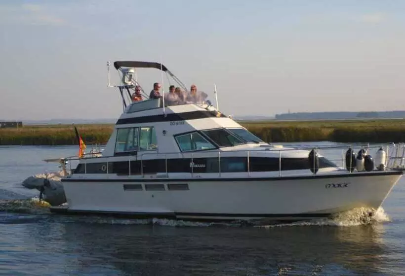 Отель Pension Garni Schwalbenhof