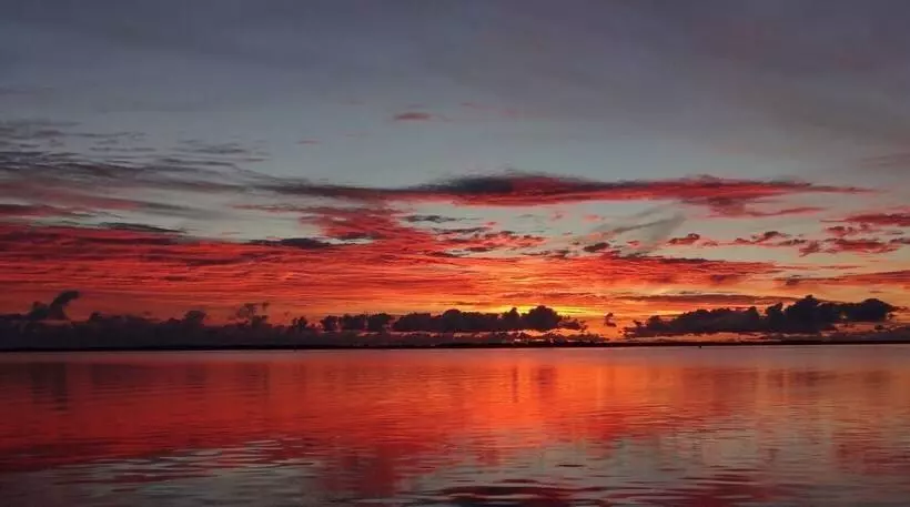 Отель Pension Garni Schwalbenhof