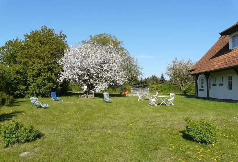 Отель Pension Garni Schwalbenhof