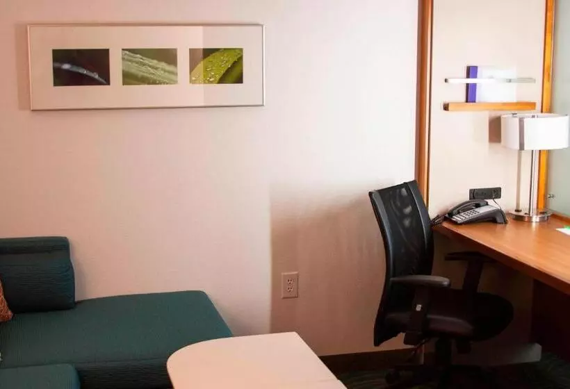 酒店 Springhill Suites By Marriott Corpus Christi