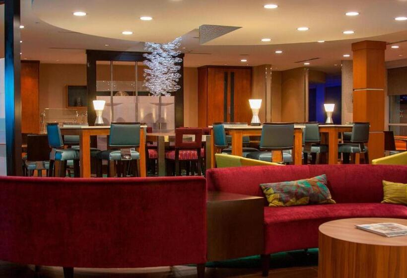 酒店 Springhill Suites By Marriott Corpus Christi
