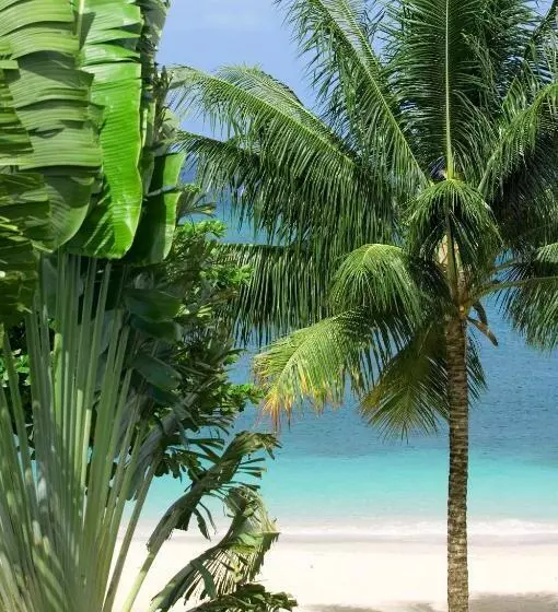 هتل The Sandpiper