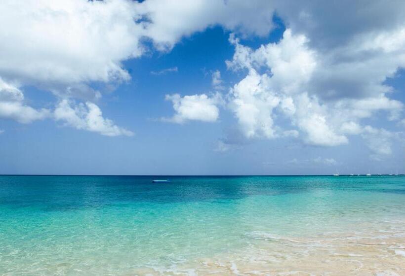 هتل The Sandpiper