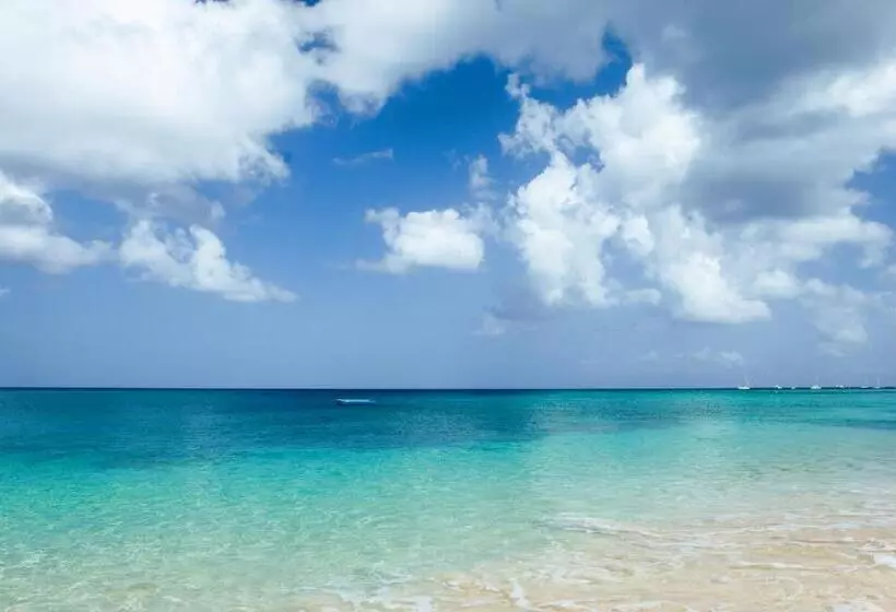 هتل The Sandpiper