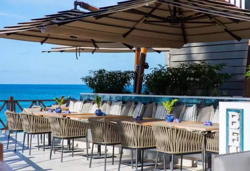 هتل The Sandpiper