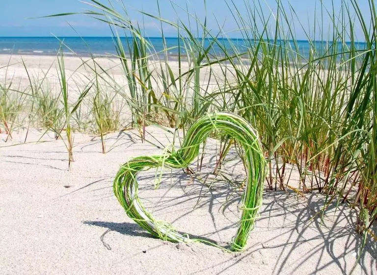 ホテル Windjammer