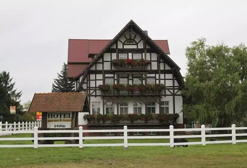 Hotelli Zum Alten Ponyhof