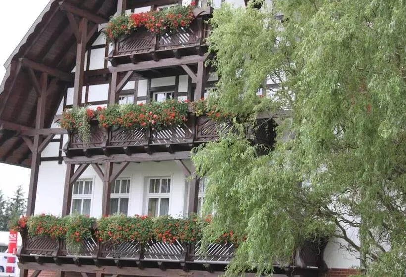 Hotelli Zum Alten Ponyhof