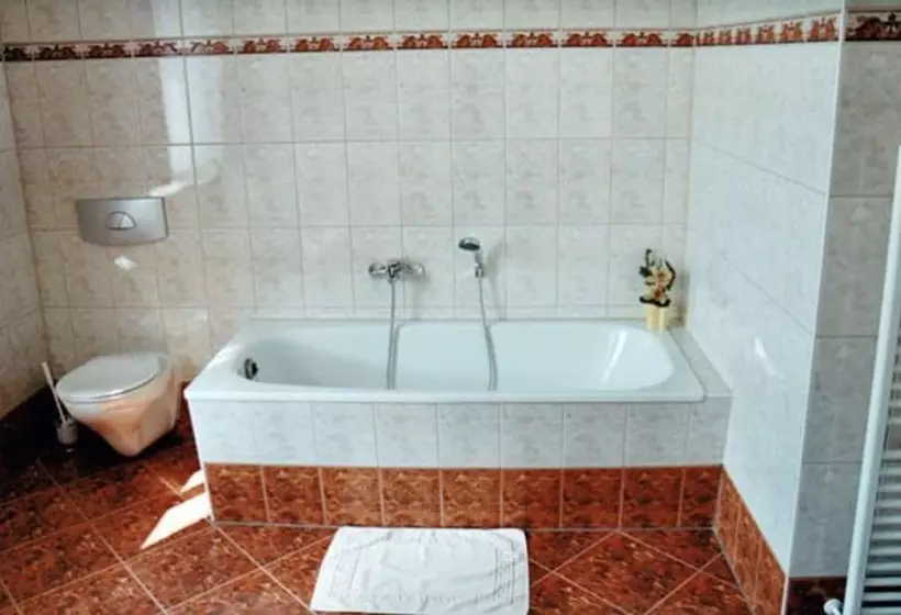 Hotelli Zum Alten Ponyhof