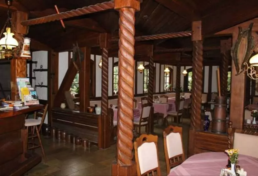 Hotelli Zum Alten Ponyhof