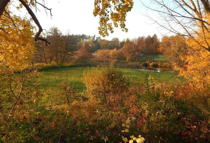 Pension Wiesenhof B&b
