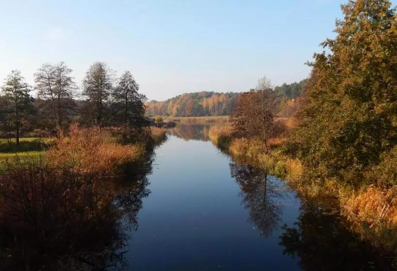 Pension Wiesenhof B&b