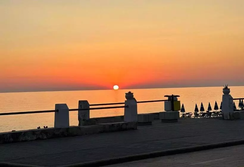B&b Mediterraneo