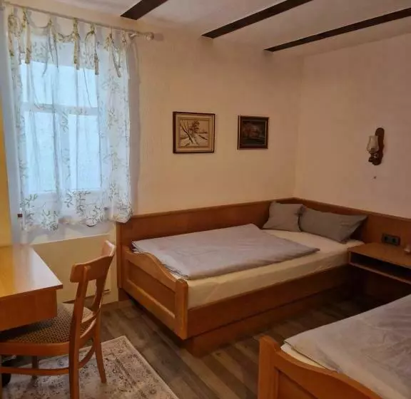 Brunnenputzer Pension Restaurant