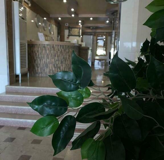 أجنحة اللؤلؤة للشقق المفروشة