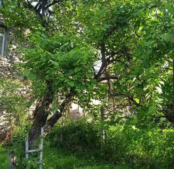 پانسیون Engurani