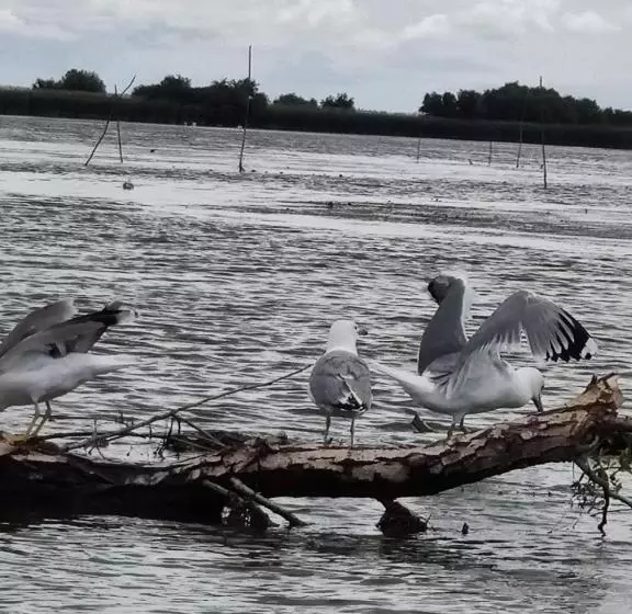 Pensiunea Iubire De Delta  La Traian
