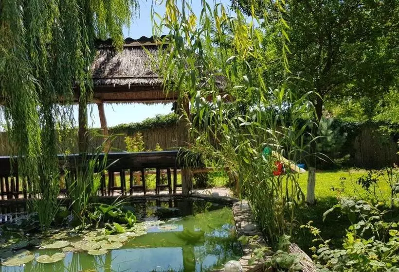 Pensiunea Iubire De Delta  La Traian