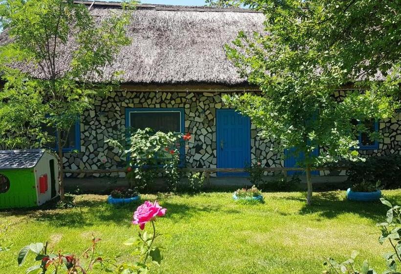 Pensiunea Iubire De Delta La Traian