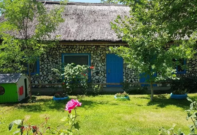 Pensiunea Iubire De Delta  La Traian