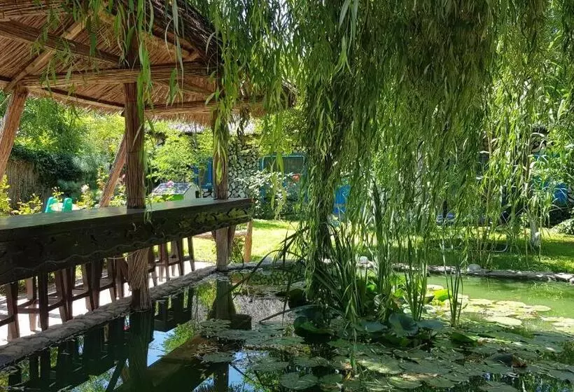 Pensiunea Iubire De Delta  La Traian